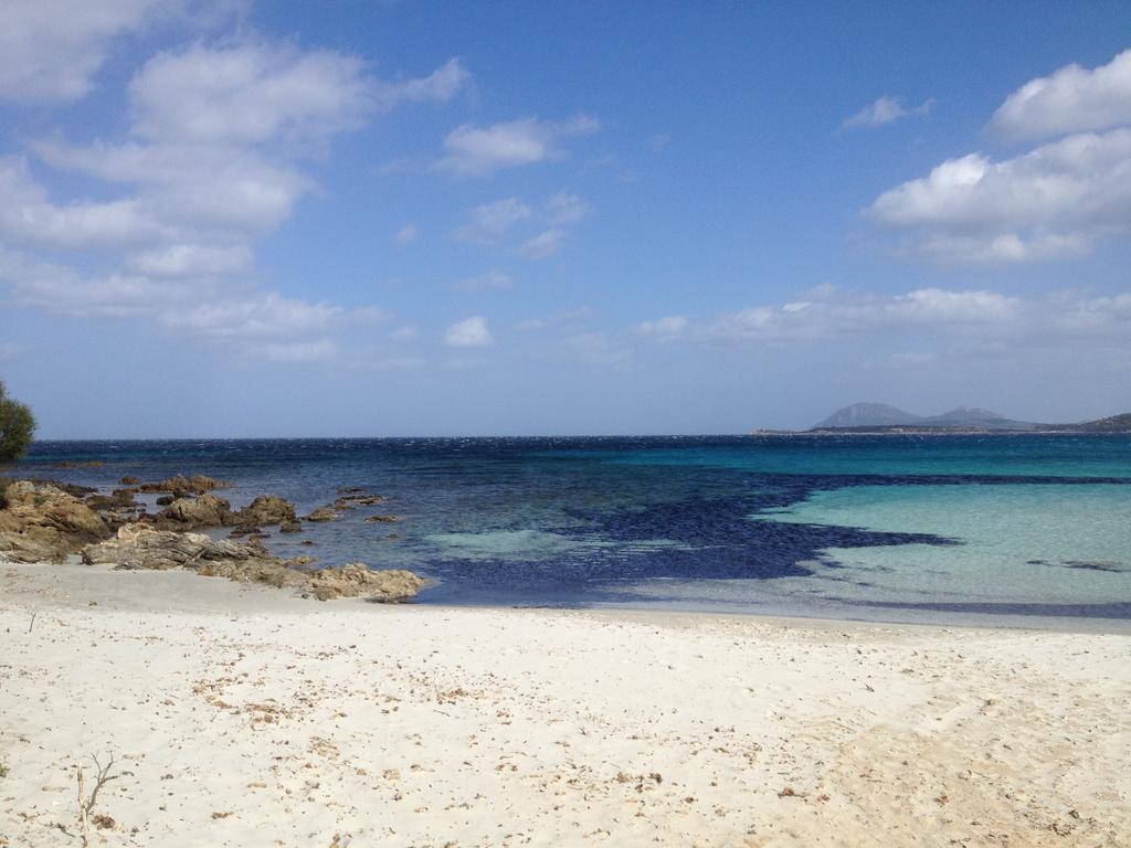 Luxury Apartment Sardegna 마리나디포르티쏘 객실 사진